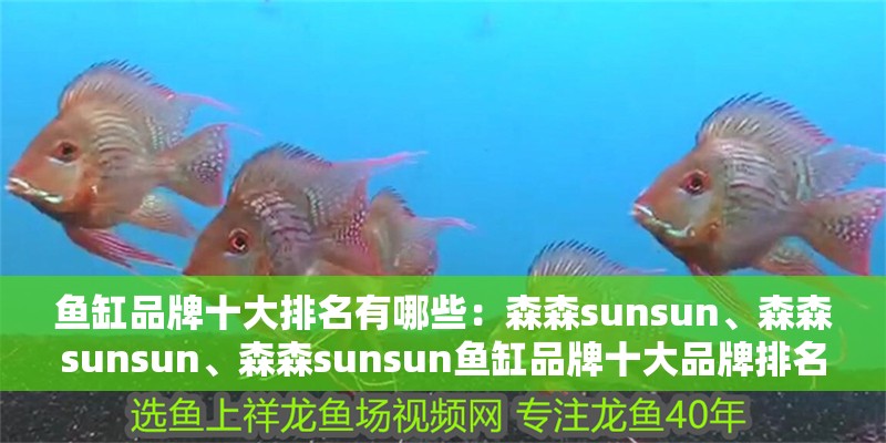 魚缸品牌十大排名有哪些：森森sunsun、森森sunsun、森森sunsun魚缸品牌十大品牌排名