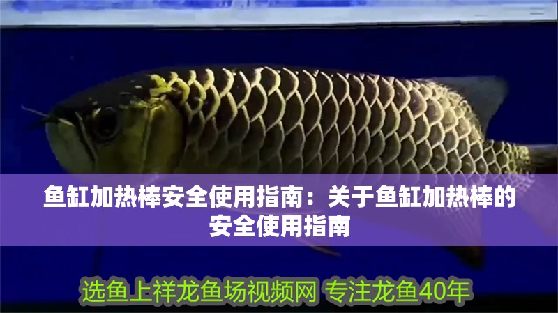 魚缸加熱棒安全使用指南：關于魚缸加熱棒的安全使用指南