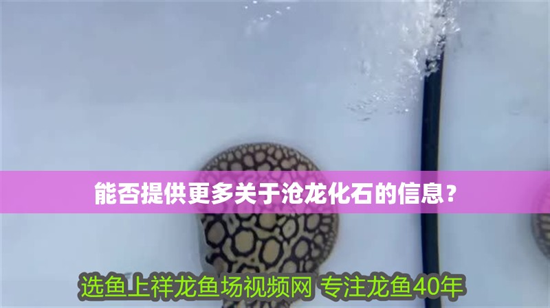 能否提供更多關于滄龍化石的信息？