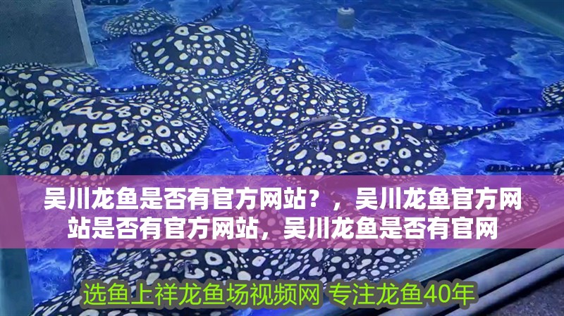 吳川龍魚是否有官方網站？，吳川龍魚官方網站是否有官方網站，吳川龍魚是否有官網 吳川龍魚是否有官方網站？，吳川龍魚官方網站是否有官方網站，吳川龍魚是否有官網 龍魚百科