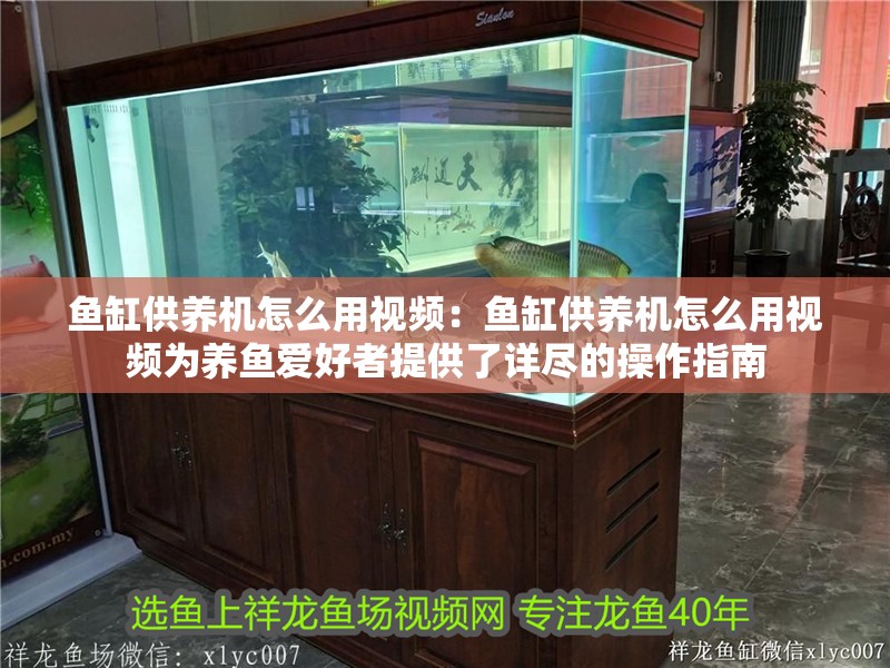 魚缸供養機怎么用視頻：魚缸供養機怎么用視頻為養魚愛好者提供了詳盡的操作指南