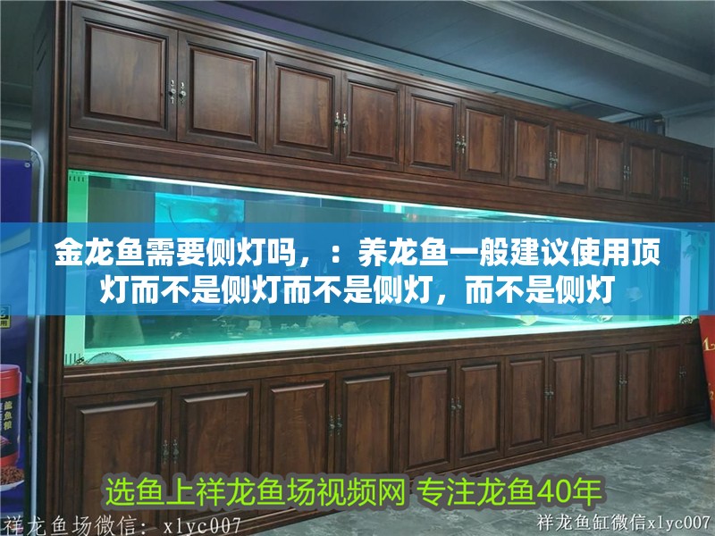 金龍魚需要側(cè)燈嗎，：養(yǎng)龍魚一般建議使用頂燈而不是側(cè)燈而不是側(cè)燈，而不是側(cè)燈