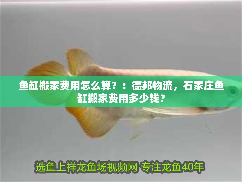 魚缸搬家費用怎么算？：德邦物流，石家莊魚缸搬家費用多少錢？