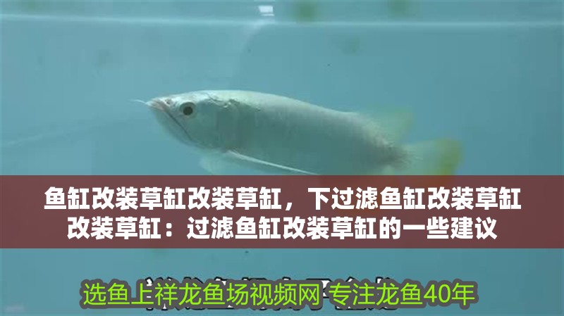 魚缸改裝草缸改裝草缸，下過濾魚缸改裝草缸改裝草缸：過濾魚缸改裝草缸的一些建議