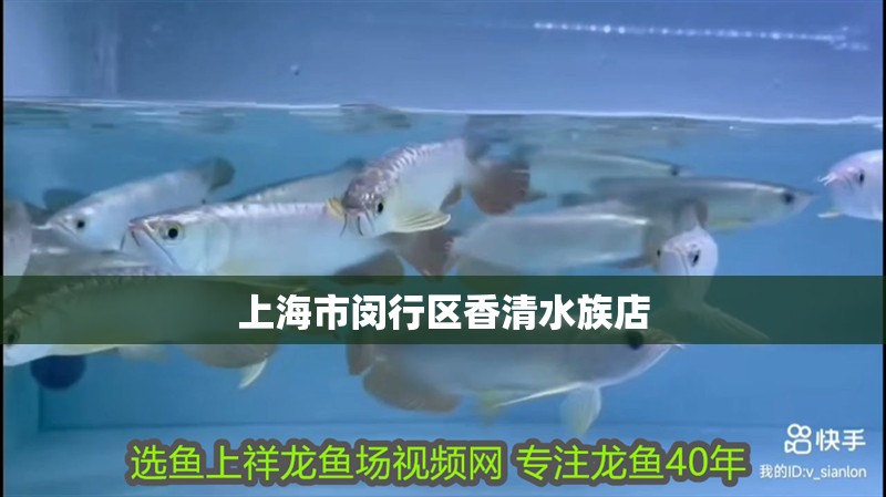 上海市閔行區香<strong><mark>清水</mark></strong>族店