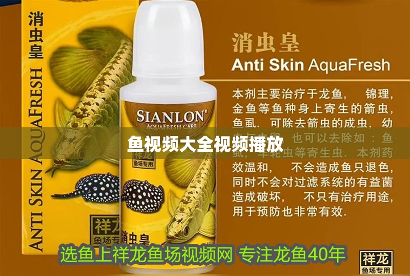 魚視頻大全視頻播放