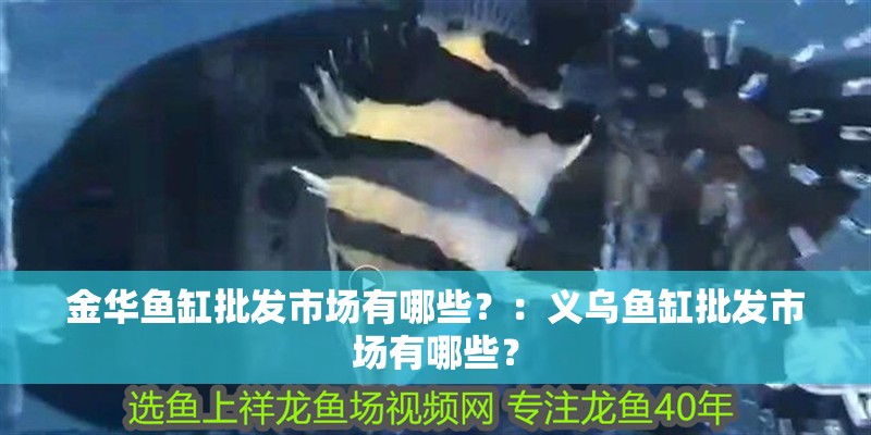 金華魚缸批發(fā)市場有哪些？：義烏魚缸批發(fā)市場有哪些？