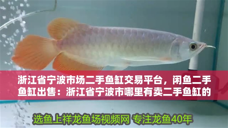 浙江省寧波市場二手魚缸交易平臺，閑魚二手魚缸出售：浙江省寧波市哪里有賣二手魚缸的