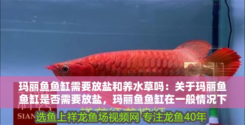 瑪麗魚魚缸需要放鹽和養(yǎng)水草嗎：關(guān)于瑪麗魚魚缸是否需要放鹽，瑪麗魚魚缸在一般情況下不需要加鹽