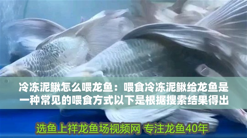冷凍泥鰍怎么喂龍魚：喂食冷凍泥鰍給龍魚是一種常見的喂食方式以下是根據(jù)搜索結(jié)果得出的喂食步驟