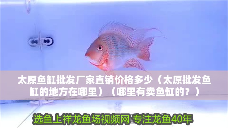 太原魚缸批發廠家直銷價格多少（太原批發魚缸的地方在哪里）（哪里有賣魚缸的？）