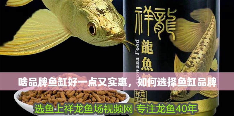 啥品牌魚缸好一點又實惠，如何選擇魚缸品牌