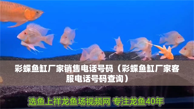 彩蝶魚缸廠家銷售電話號碼（彩蝶魚缸廠家客服電話號碼查詢）