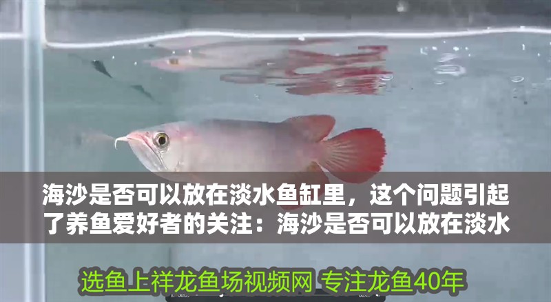 海沙是否可以放在淡水魚缸里，這個問題引起了養(yǎng)魚愛好者的關(guān)注：海沙是否可以放在淡水魚缸里