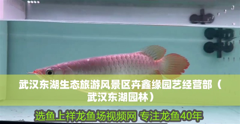 武漢東湖生態旅游風景區卉鑫緣園藝經營部（武漢東湖園林）