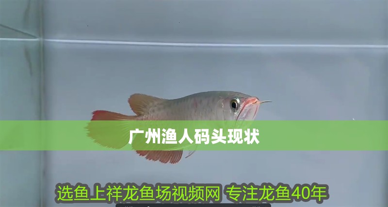 廣州漁人碼頭現狀