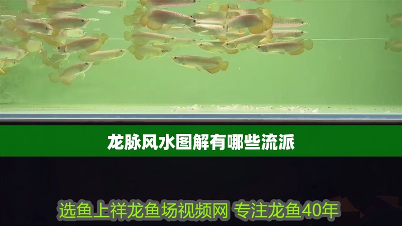 龍脈風(fēng)水圖解有哪些流派