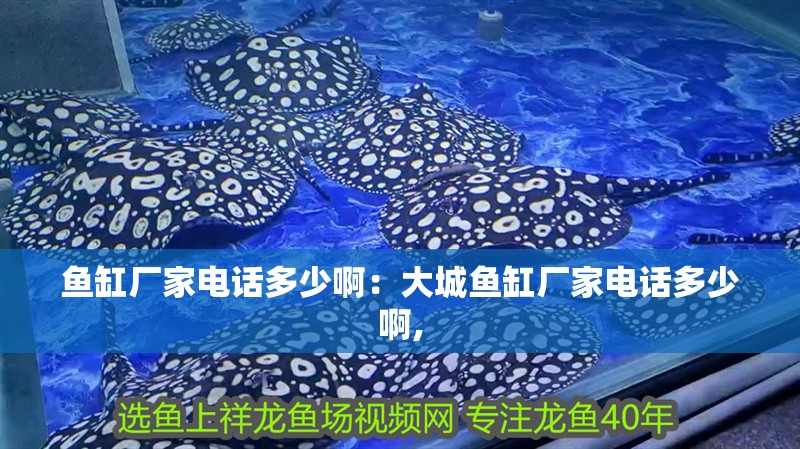 魚缸廠家電話多少啊：大城魚缸廠家電話多少啊,