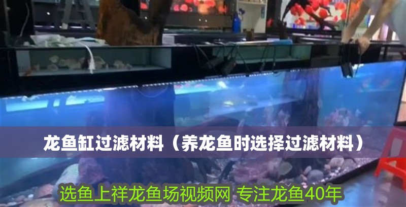 龍魚缸過濾材料（養龍魚時選擇過濾材料）