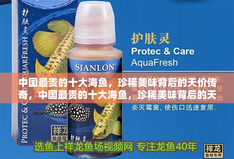中國最貴的十大海魚，珍稀美味背后的天價傳奇，中國最貴的十大海魚，珍稀美味背后的天價傳奇