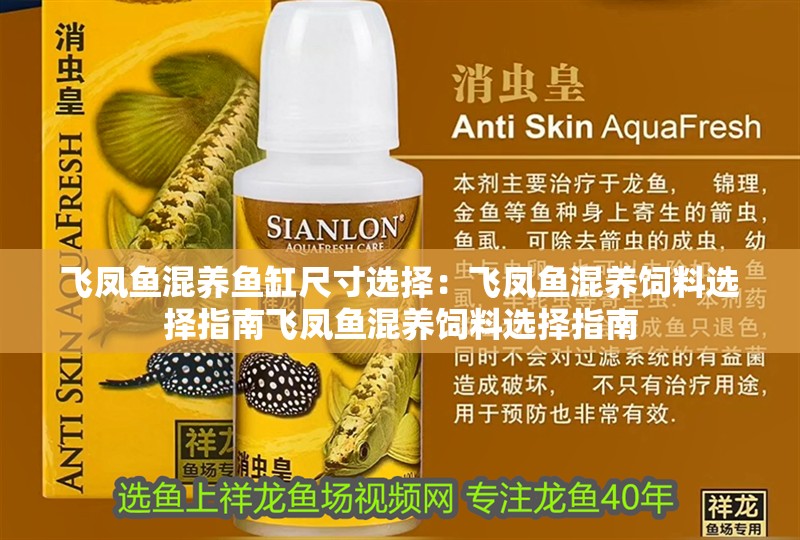 飛鳳魚混養魚缸尺寸選擇：飛鳳魚混養飼料選擇指南飛鳳魚混養飼料選擇指南