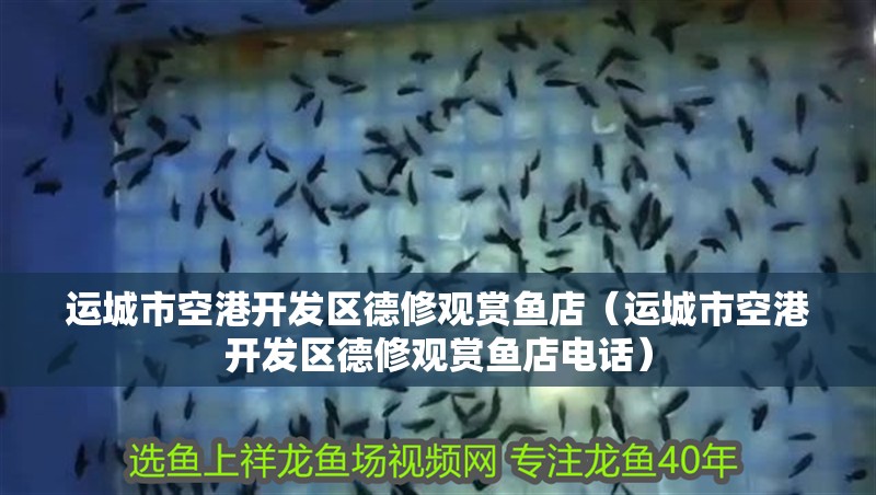 運城市空港開發(fā)區(qū)德修觀賞魚店（運城市空港開發(fā)區(qū)德修觀賞魚店電話）