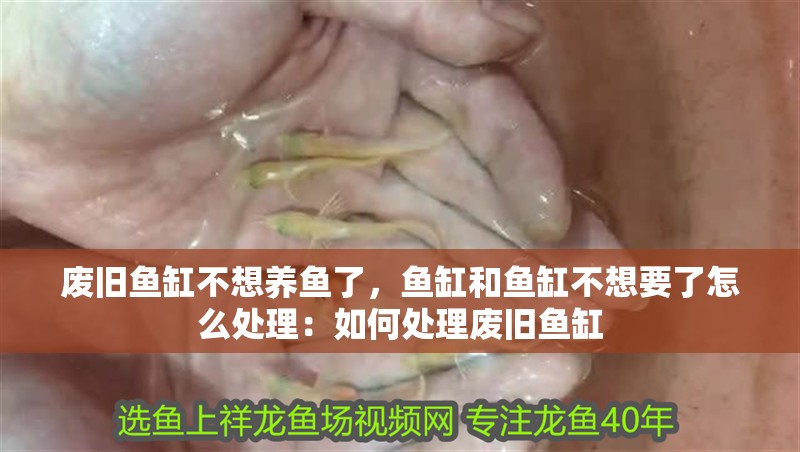 廢舊魚缸不想養魚了，魚缸和魚缸不想要了怎么處理：如何處理廢舊魚缸