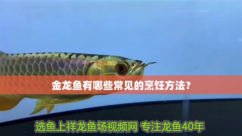 金龍魚有哪些常見的烹飪方法？
