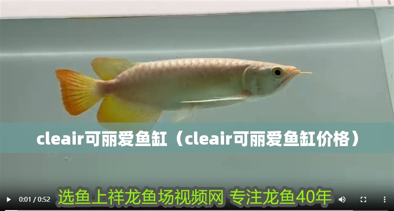 cleair可麗愛魚缸（cleair可麗愛魚缸價格）