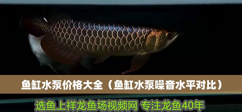 魚缸水泵價格大全（魚缸水泵噪音水平對比）