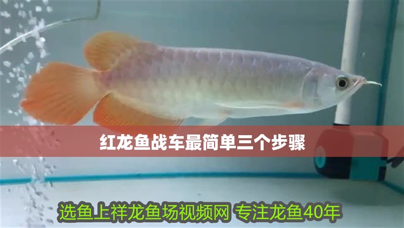 紅龍魚戰(zhàn)車最簡(jiǎn)單三個(gè)步驟