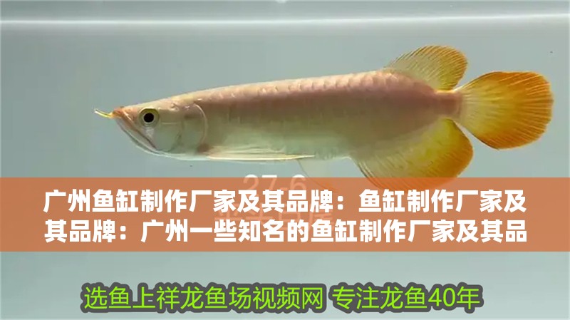 廣州魚缸制作廠家及其品牌：魚缸制作廠家及其品牌：廣州一些知名的魚缸制作廠家及其品牌