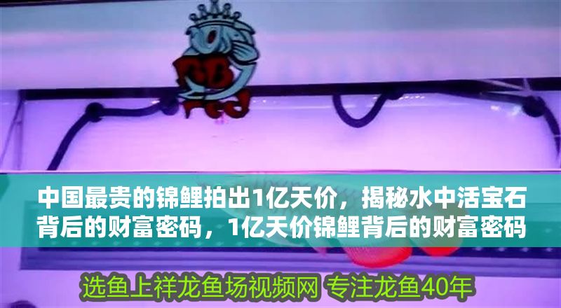 中國最貴的錦鯉拍出1億天價，揭秘水中活寶石背后的財富密碼，1億天價錦鯉背后的財富密碼，揭秘水中活寶石的收藏神話
