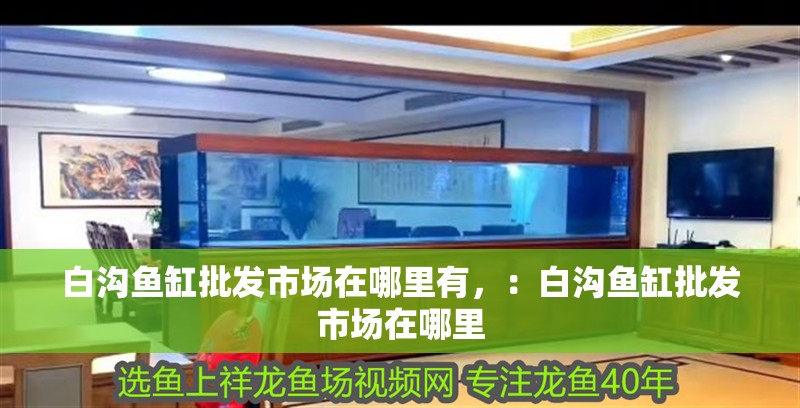 白溝魚缸批發(fā)市場(chǎng)在哪里有，：白溝魚缸批發(fā)市場(chǎng)在哪里