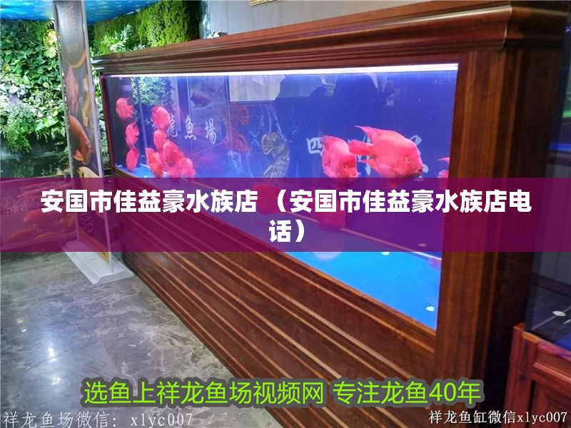 安國市佳益豪水族店 （安國市佳益豪水族店電話）
