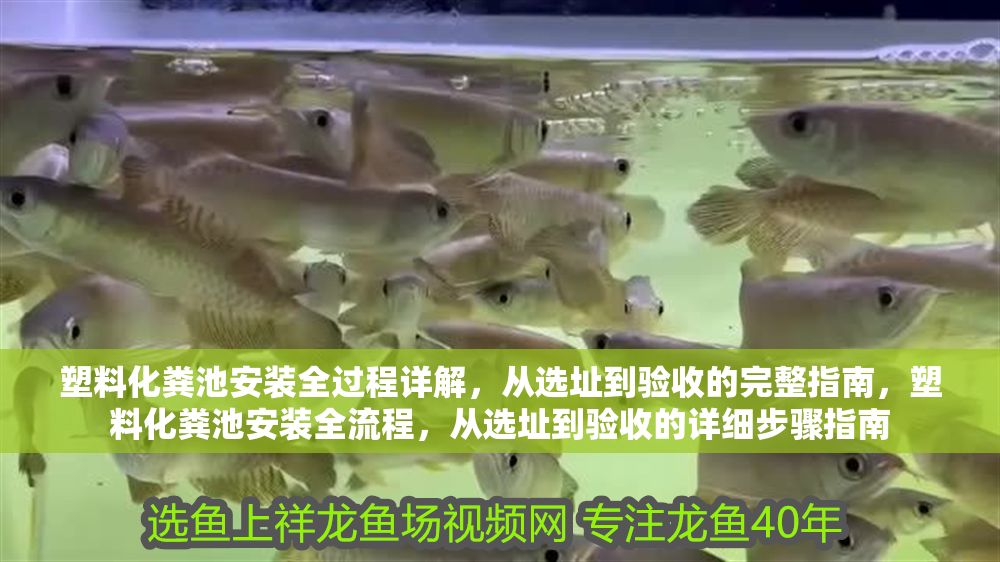 塑料化糞池安裝全過程詳解，從選址到驗收的完整指南，塑料化糞池安裝全流程，從選址到驗收的詳細步驟指南