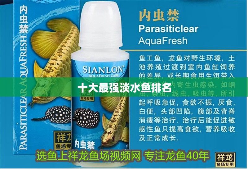 十大最強淡水魚排名