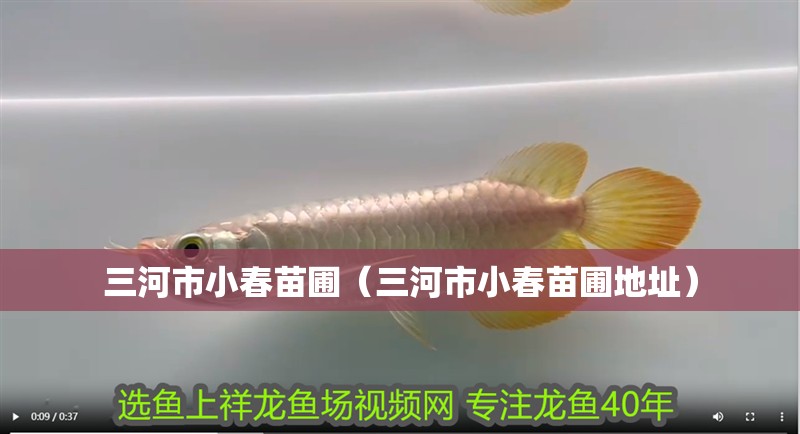 三河市小春苗圃（三河市小春苗圃地址）