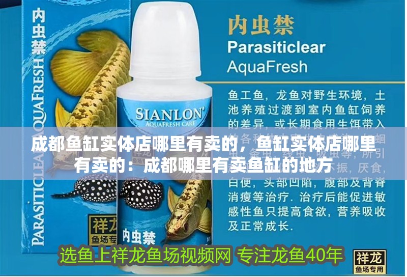 成都魚缸實體店哪里有賣的，魚缸實體店哪里有賣的：成都哪里有賣魚缸的地方