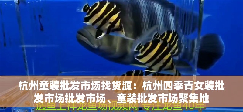 杭州童裝批發(fā)市場找貨源：杭州四季青女裝批發(fā)市場批發(fā)市場、童裝批發(fā)市場聚集地