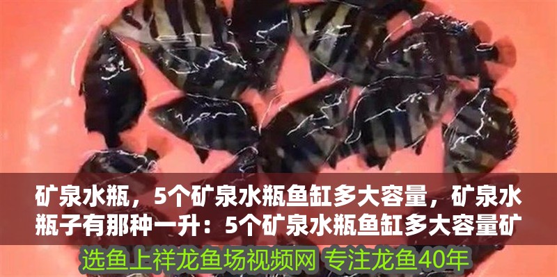 礦泉水瓶，5個(gè)礦泉水瓶魚缸多大容量，礦泉水瓶子有那種一升：5個(gè)礦泉水瓶魚缸多大容量礦泉水瓶魚缸多大容量