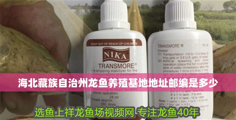 龍魚怕什么 海北藏族自治州龍魚養殖基地地址郵編是多少 龍魚百科 海北藏族自治州龍魚養殖基地地址郵編是多少 海北藏族自治州龍魚養殖基地地址郵編是多少 龍魚百科