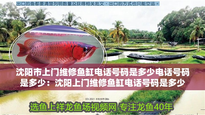 沈陽市上門維修魚缸電話號碼是多少電話號碼是多少：沈陽上門維修魚缸電話號碼是多少