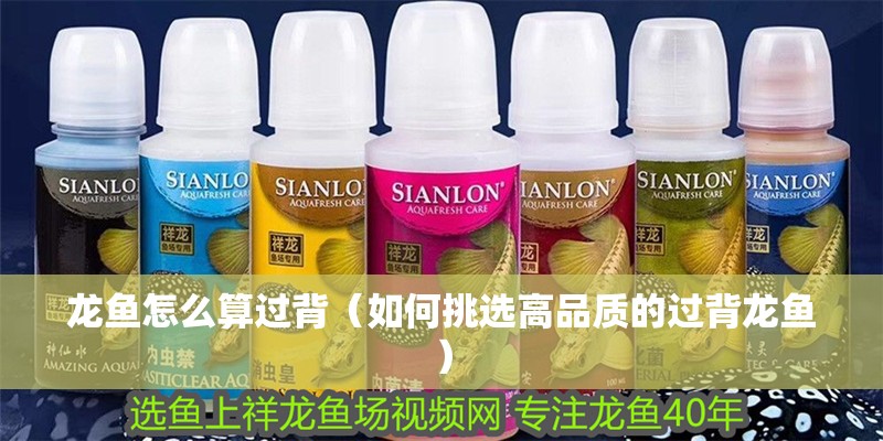 龍魚怎么算過背（如何挑選高品質的過背龍魚）