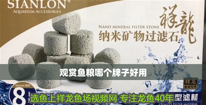 觀賞魚糧哪個牌子好用