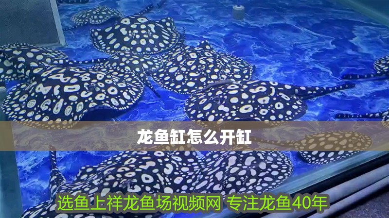 龍魚缸怎么開缸