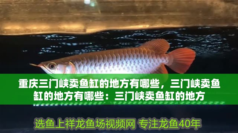 重慶三門峽賣魚缸的地方有哪些，三門峽賣魚缸的地方有哪些：三門峽賣魚缸的地方