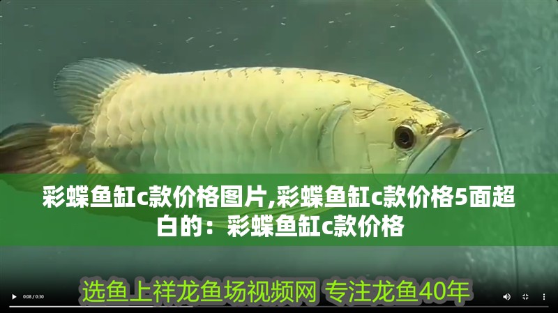 彩蝶魚缸c款價格圖片,彩蝶魚缸c款價格5面超白的：彩蝶魚缸c款價格