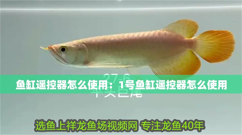 魚缸遙控器怎么使用：1號魚缸遙控器怎么使用