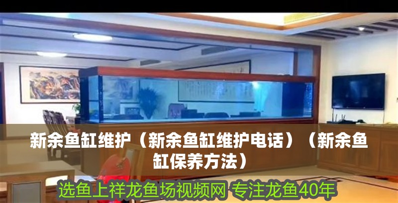 新余魚缸維護（新余魚缸維護電話）（新余魚缸保養方法）